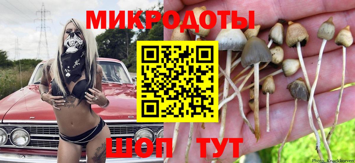 Псилоцибиновые грибы MAGIC MUSHROOMS Балашиха
