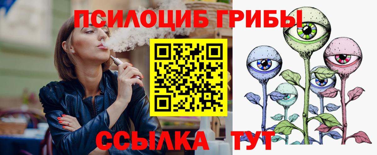 Галлюциногенные грибы GOLDEN TEACHER  Вход с VPN  Балашиха  Галлюциногенные грибы GOLDEN TEACHER 
