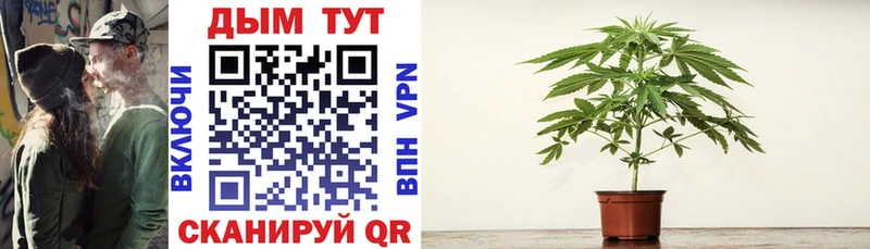 Каннабис гибрид  купить  цена  Балашиха 