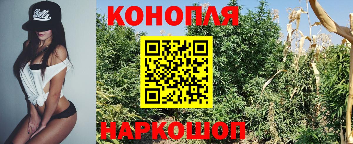 Балашиха  Бошки марихуана SATIVA & INDICA  Шишки марихуана гибрид  Бошки Шишки гибрид  Конопля индика  Вход с VPN 